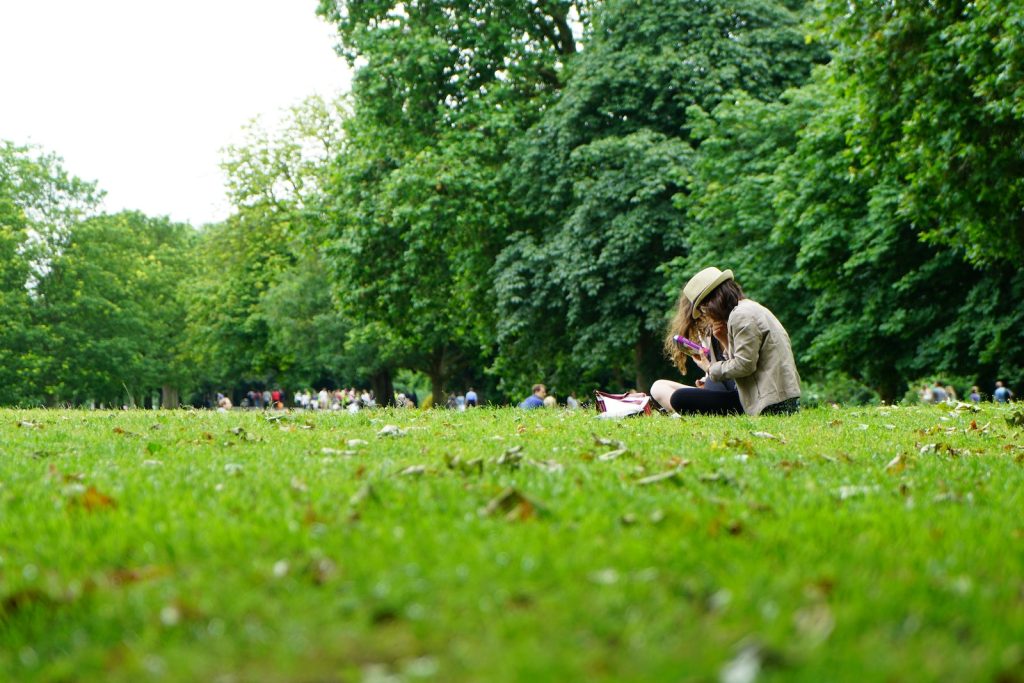 People Sitting On Green Grass Field