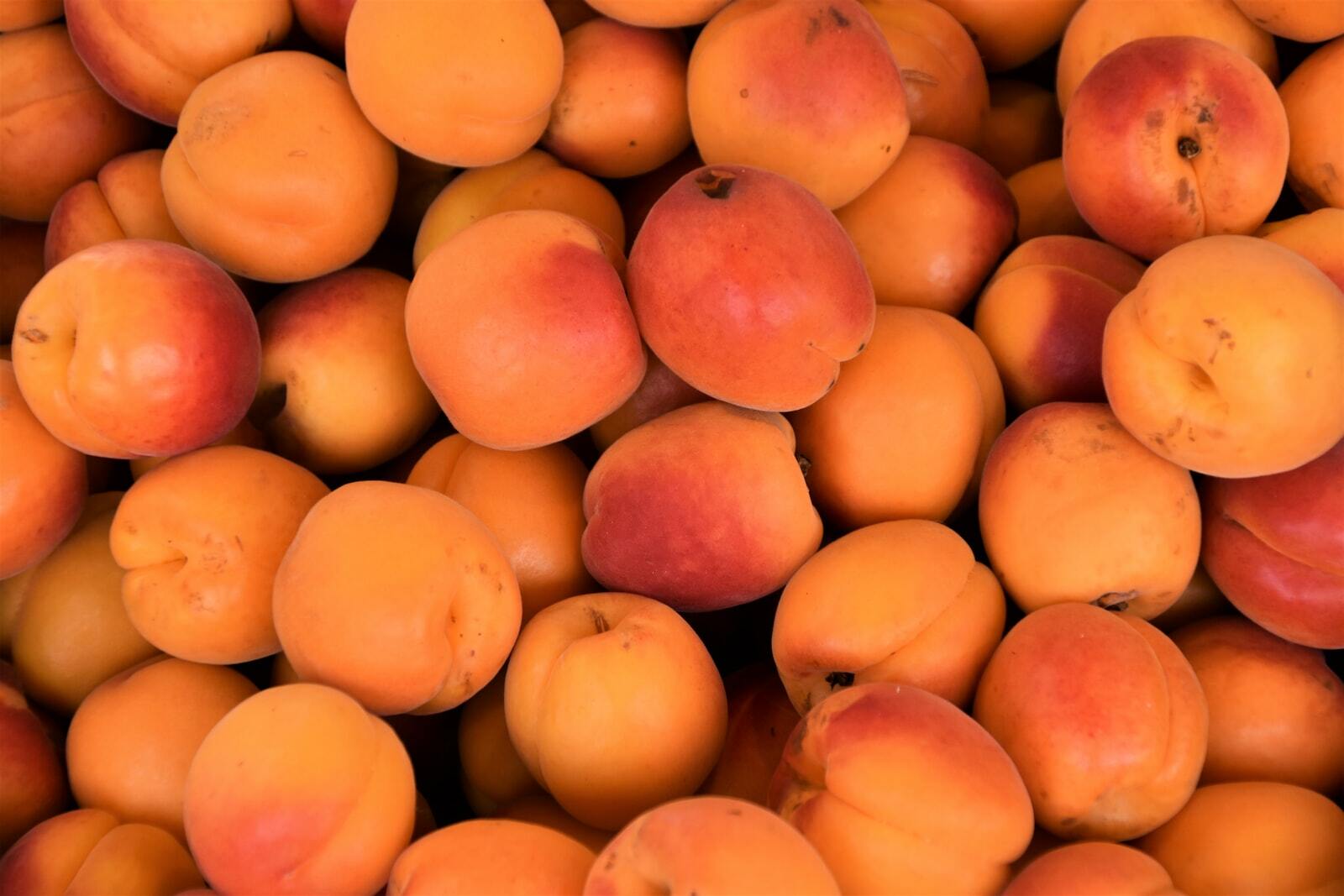 yellow and red round fruits