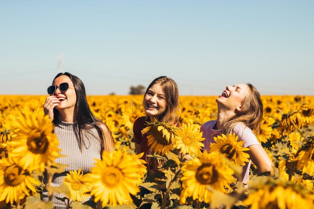 woman in white and black striped shirt standing on yellow sunflower field during daytime