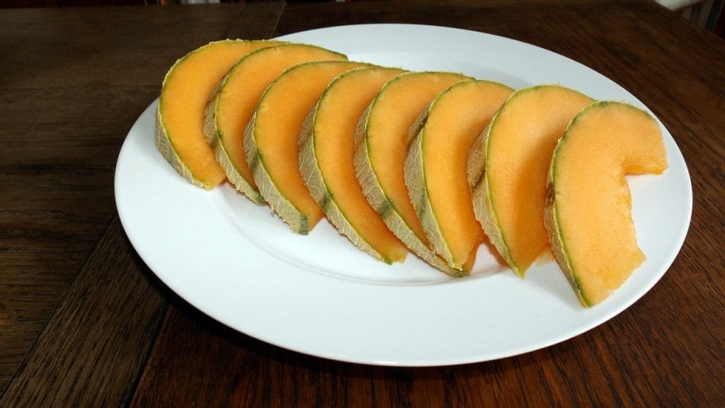 cantaloupe, fruit, food