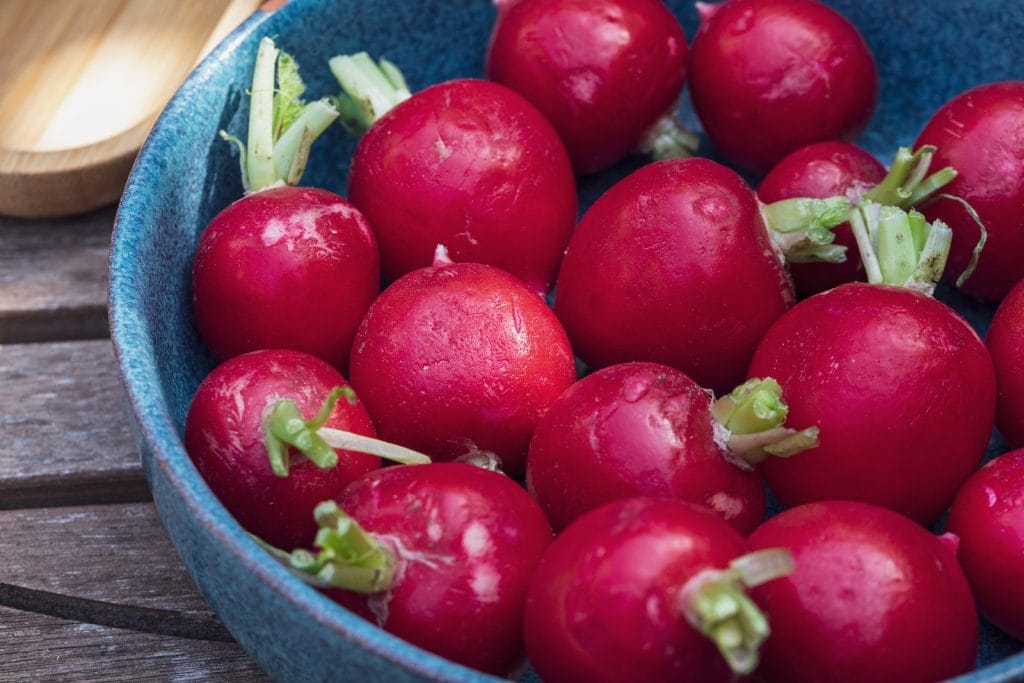 bowl of turnip