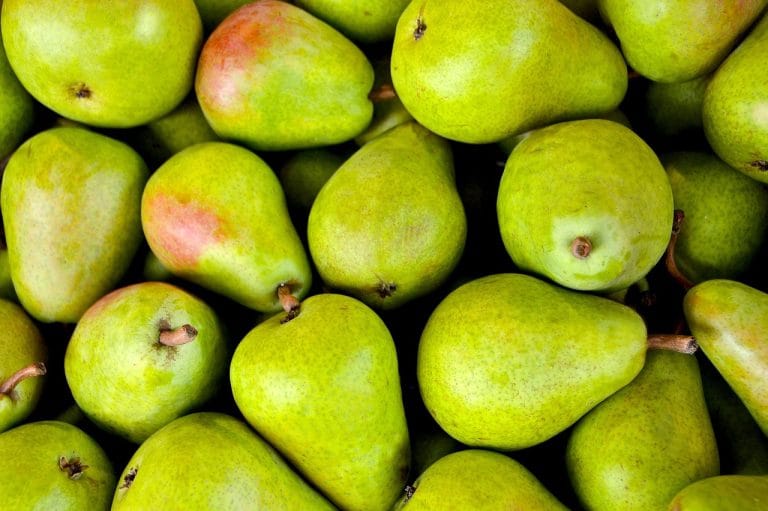 fruits, pears, green