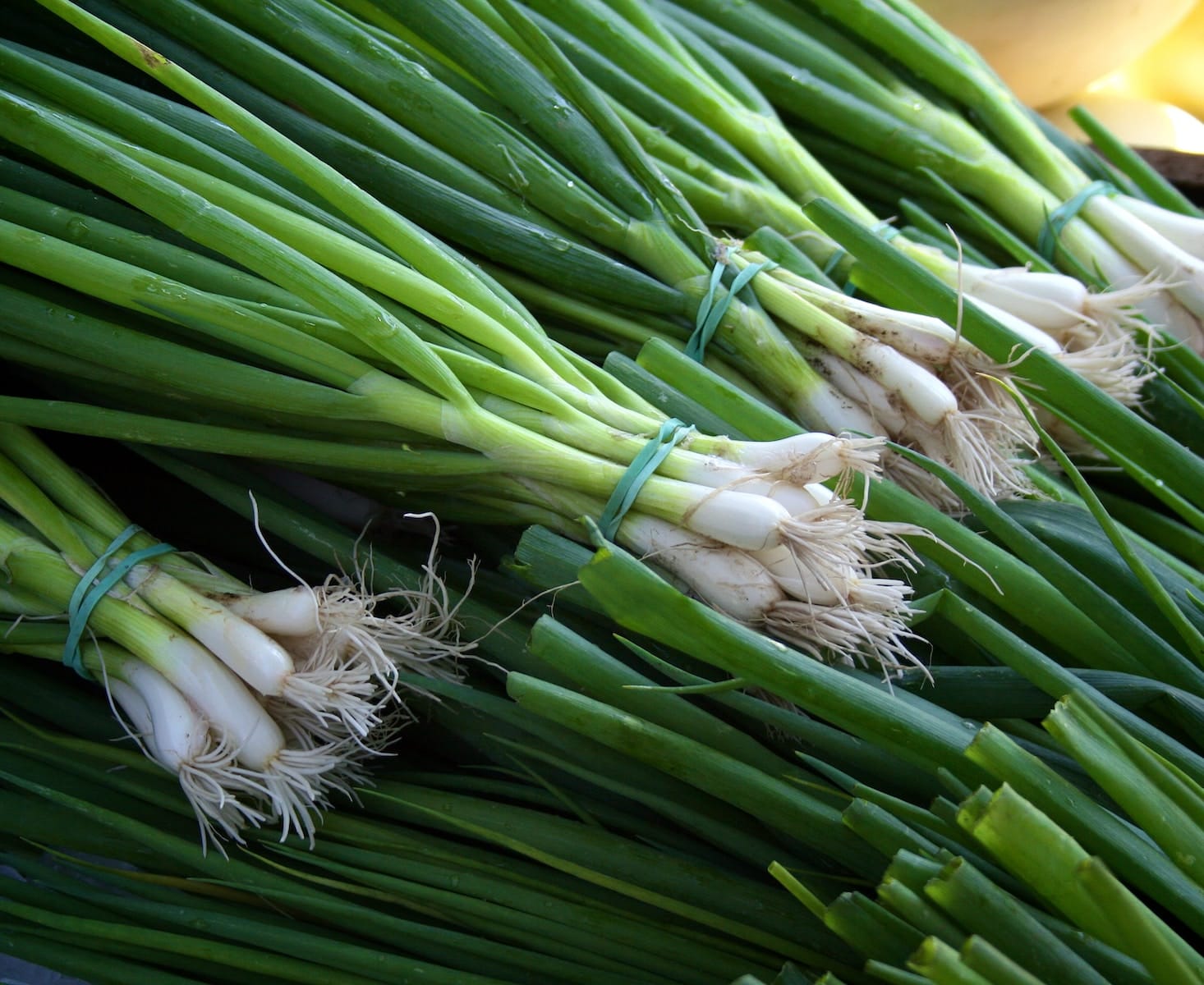 green and white vegetable on brown wooden table