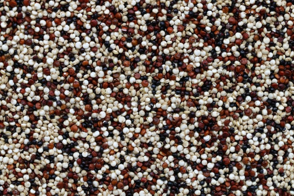 brown and white pebbles on ground