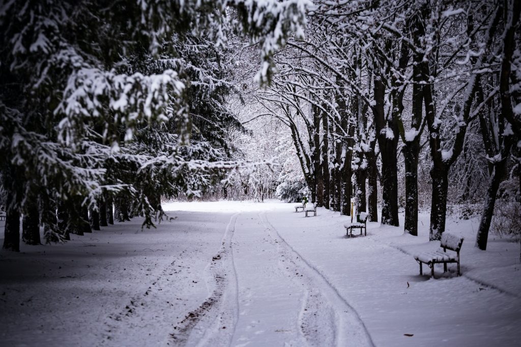 a snow covered park with benches and trees