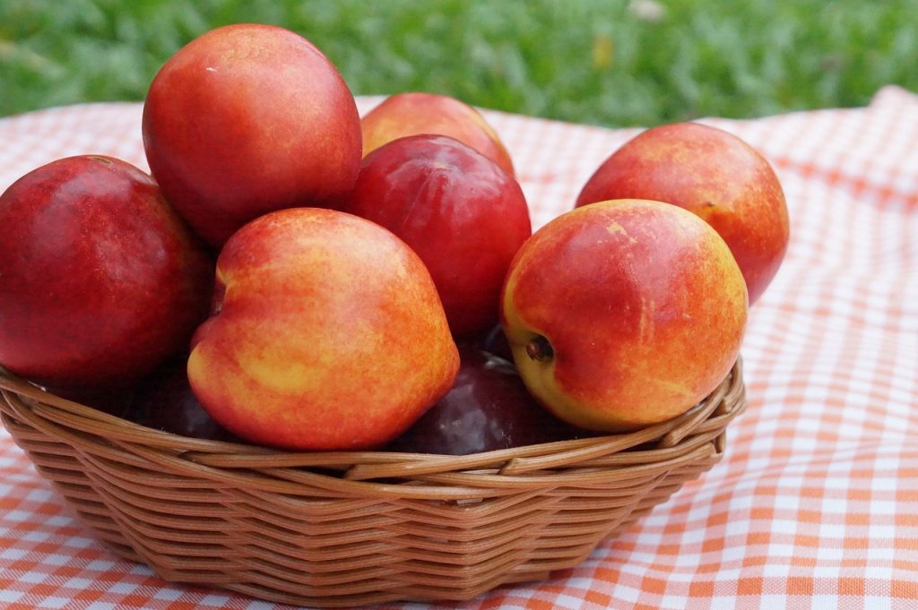 summer, nectarine, fruit