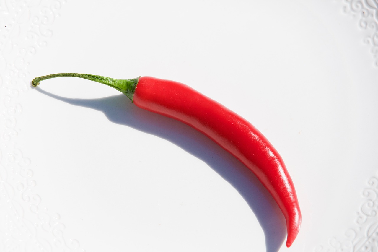 chilli pepper, red, food