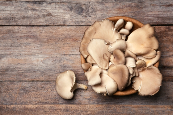 Ciuperci Pleurotus: Delicii nutritive cu beneficii surprinzătoare pentru sănătate