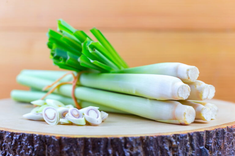 Lemongrass: O aromă plăcută și beneficii uimitoare pentru sănătate