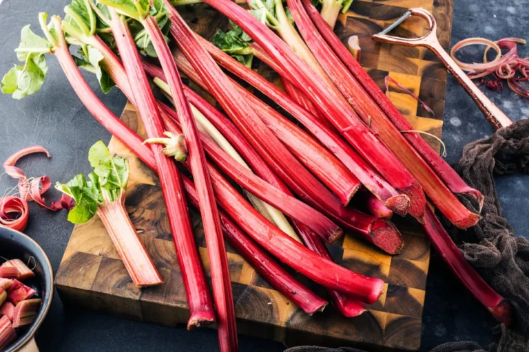 Rubarba: Un deliciu culinar și un aliat pentru sănătate