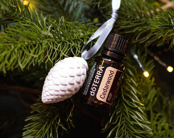 Uleiul de Cedru: Un balsam natural pentru minte și suflet