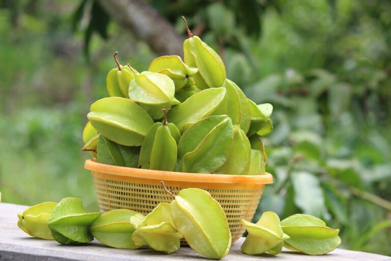 Carambola (Fructul stea): O bijuterie exotică cu super-puteri pentru imunitate