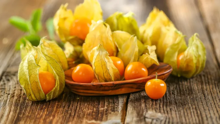 Physalis: O bijuterie exotică plină de vitamina C