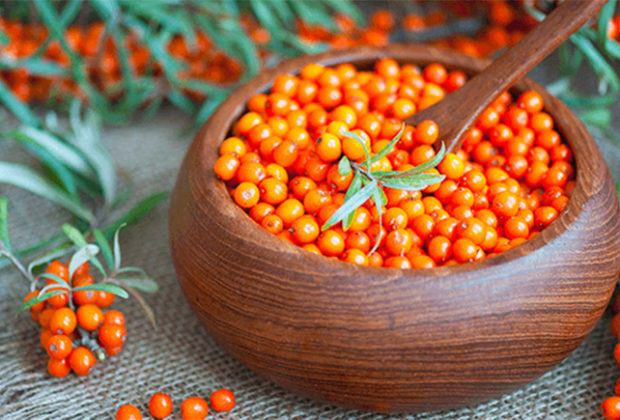 Cătina: „Ginsengul Românesc” – Beneficii uimitoare și sfaturi practice pentru administrare